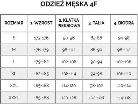 Bluza męska 4F M1463 czarna 4FWMM00TSWSM1463 20S
