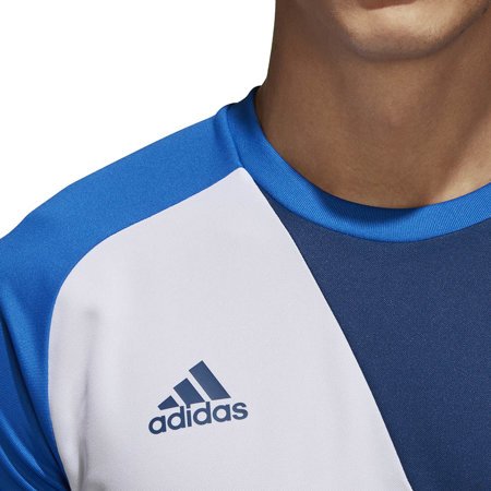 Bluza bramkarska dla dzieci adidas Assita 17 GK Junior niebieska AZ5399